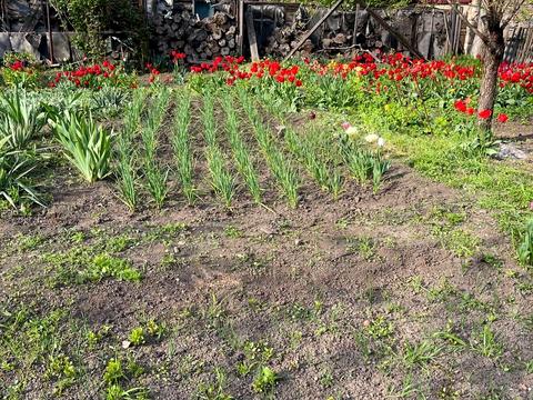 будинок за адресою Виставочна вул., 18