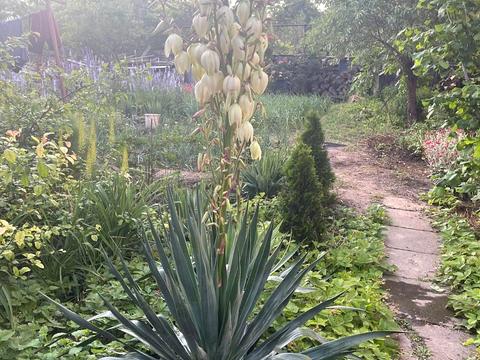 будинок за адресою Виставочна вул., 18