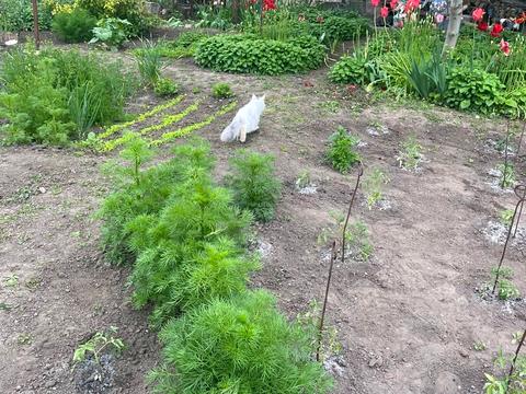 будинок за адресою Виставочна вул., 18