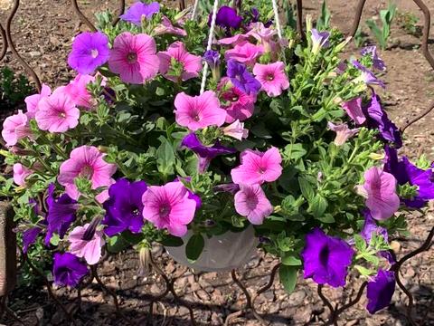 будинок за адресою Виставочна вул., 18