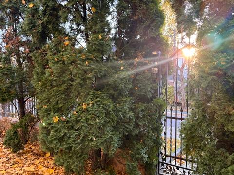 будинок за адресою Борщагівська вул., 40