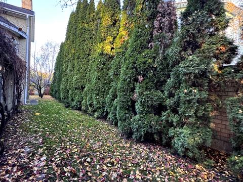 будинок за адресою Борщагівська вул., 40