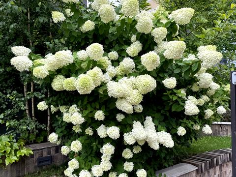 квартира за адресою Берестейський просп. (Перемоги), 26