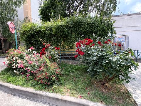 квартира за адресою Дмитрівська вул., 19