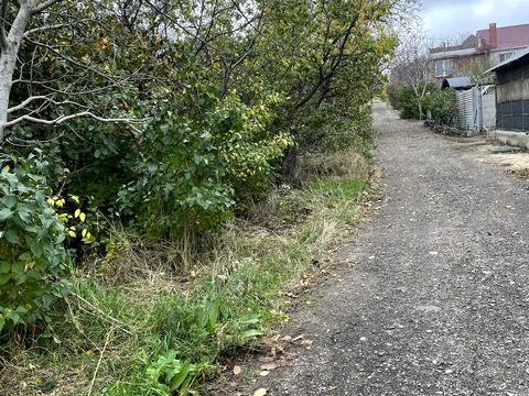 ділянка за адресою Витамин