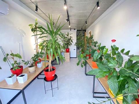 коммерческая по адресу Заречная ул., 6 к1