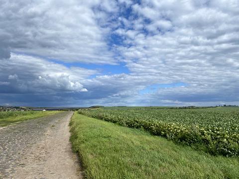 участок по адресу 