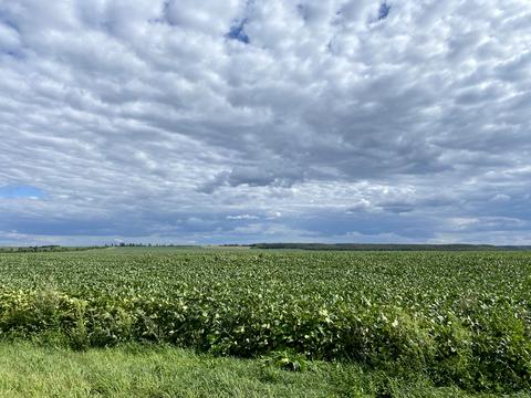 участок по адресу 