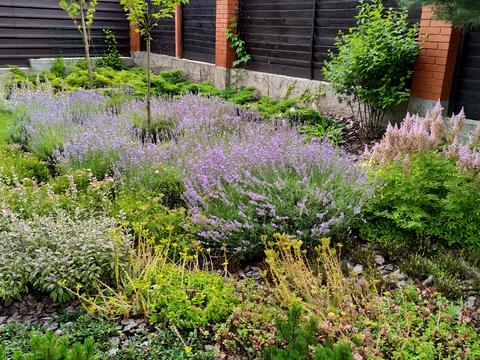 дом по адресу Мазепи, 119