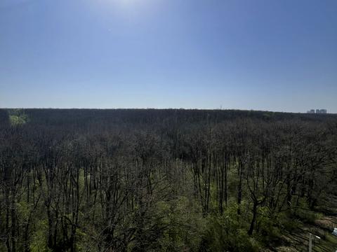 квартира за адресою Перемоги просп., 86А