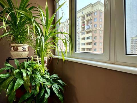 квартира за адресою Віталія Нестеренка вул. (Академіка Воробйова), 1