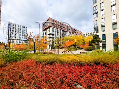 квартира по адресу Салютная ул., 2-Б