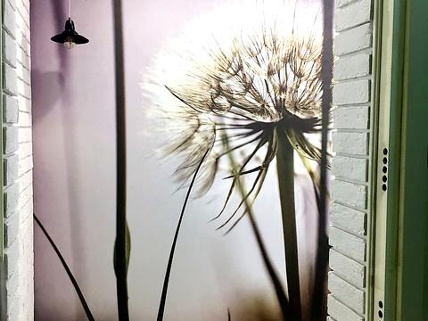 квартира за адресою Михайла Донця вул., 2-А