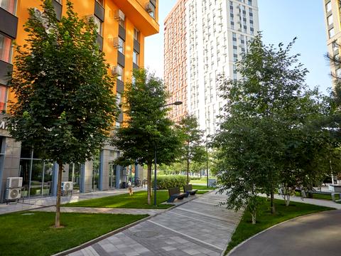 квартира за адресою Столичне шосе, 3