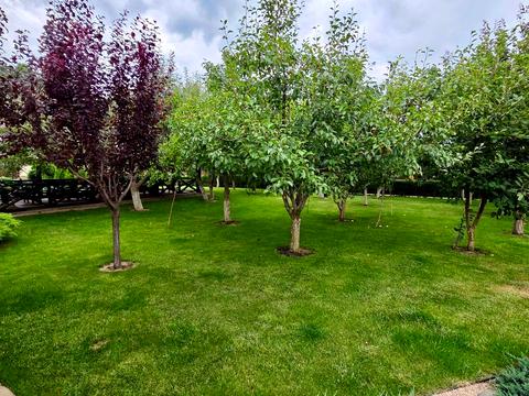 будинок за адресою Горького, 69