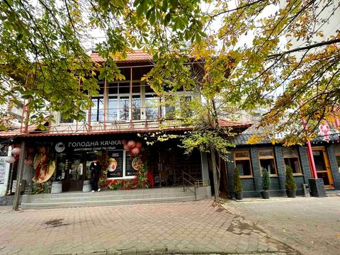 коммерческая по адресу Одесса, Евгения Чикаленко ул., 62а