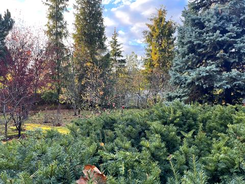 будинок за адресою Польова