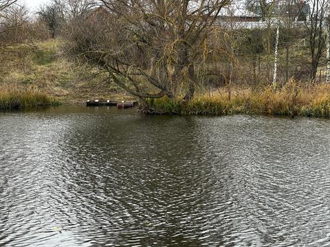 участок по адресу Остапа Вишні