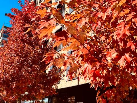 квартира за адресою Набережно-Рибальська дорога вул., 5