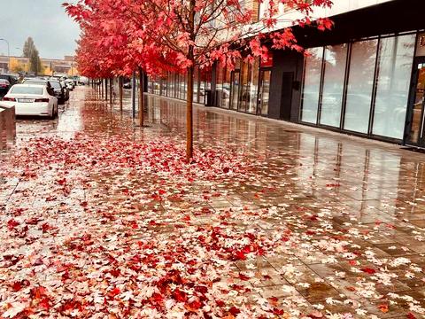 квартира за адресою Набережно-Рибальська дорога вул., 5