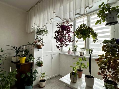 квартира за адресою Академіка Корольова вул., 81/1