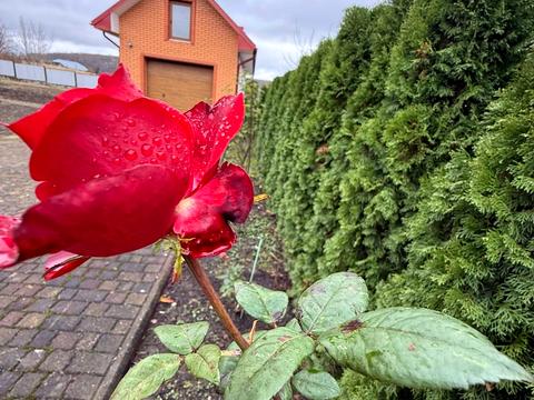 дом по адресу Василя Стуса ул.