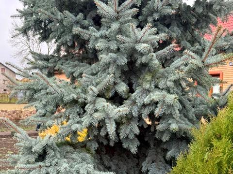 дом по адресу Василя Стуса ул.