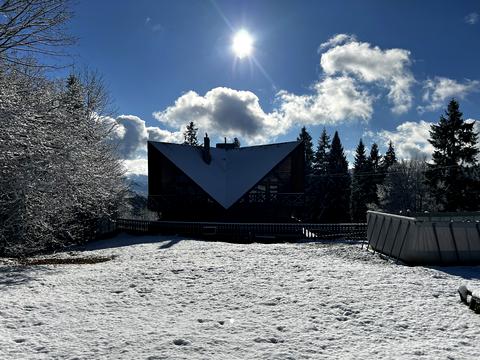будинок за адресою Січових стрільців, 17
