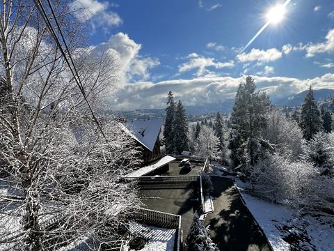 будинок за адресою Січових стрільців, 17