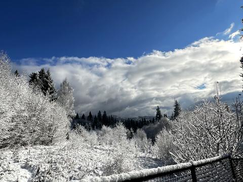 будинок за адресою Січових стрільців, 17