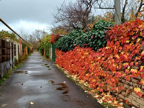 будинок за адресою Цветочная
