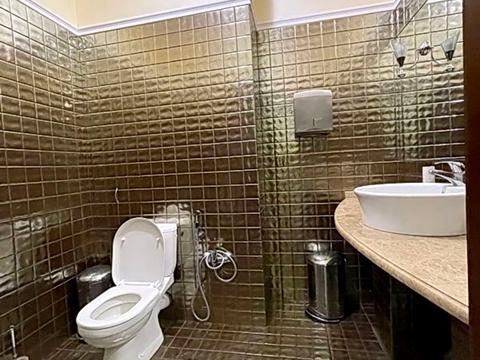 комерційна за адресою Шота Руставелі вул., 44