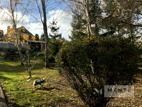 дом по адресу Озерна, 17