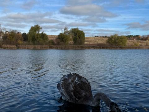 дом по адресу Озерна, 17