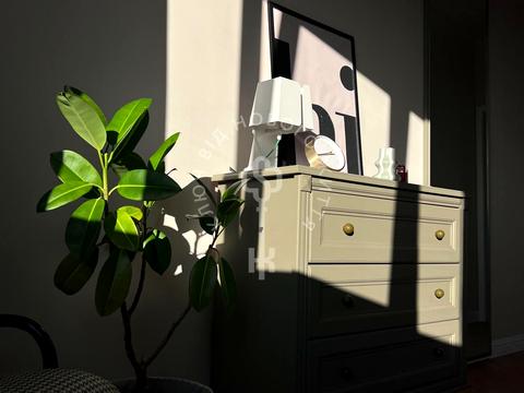 квартира за адресою Ореста Васкула вул., 19