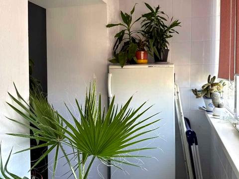 квартира за адресою Панаса Мирного вул., 21/1