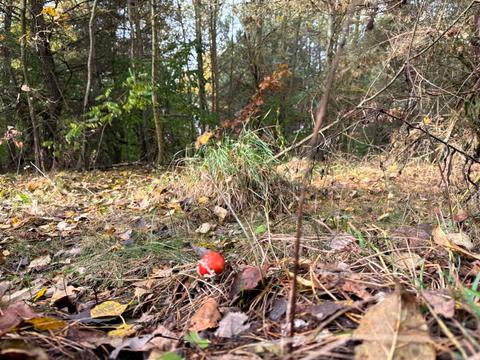 участок по адресу 