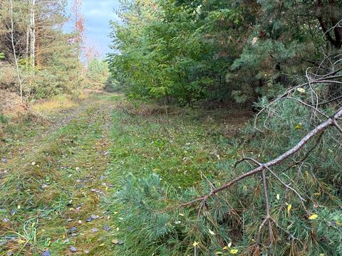 участок по адресу 