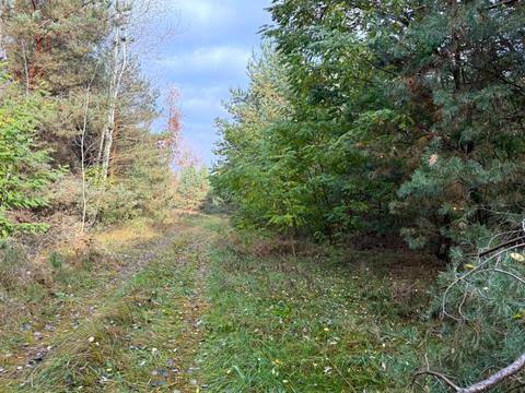 участок по адресу 