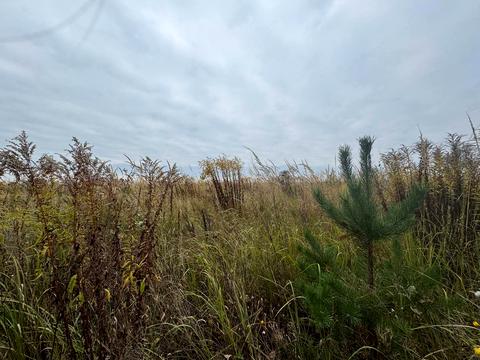 участок по адресу 