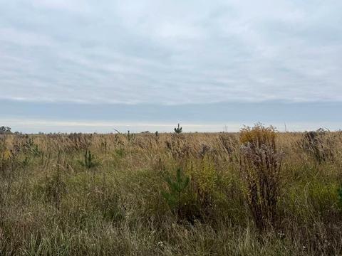 участок по адресу 