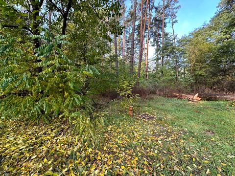 ділянка за адресою Котляревського, 53