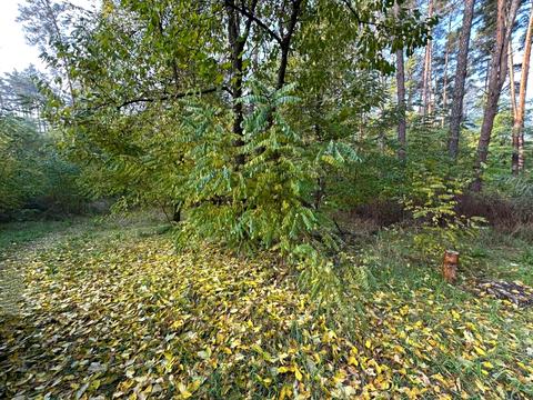 ділянка за адресою Котляревського, 53