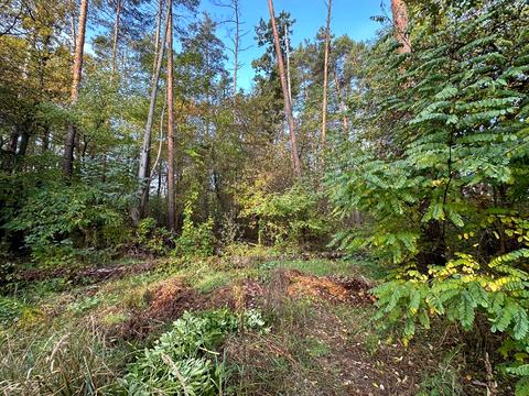 ділянка за адресою Котляревського, 53