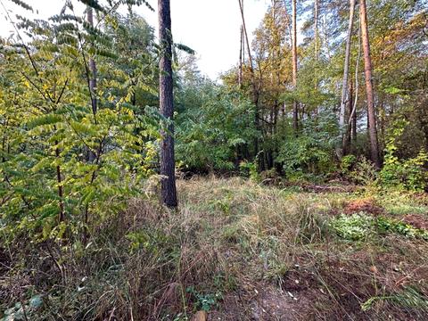 ділянка за адресою Котляревського, 53