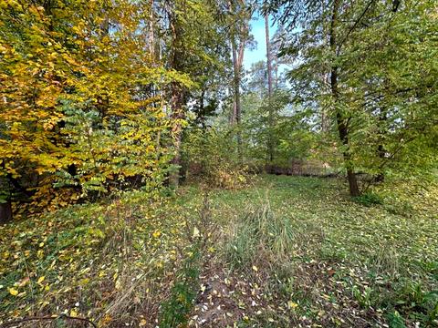 ділянка за адресою Котляревського, 53