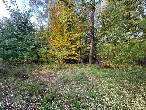 ділянка за адресою Котляревського, 53