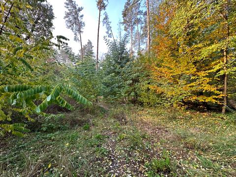 ділянка за адресою Котляревського, 53