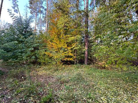 ділянка за адресою Котляревського, 53