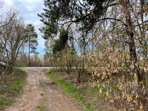 участок по адресу 